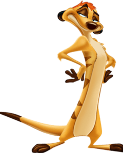 Timon-icon